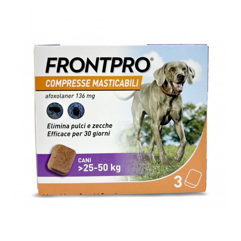 FRONTPRO