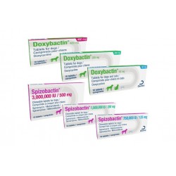 DOXYBACTIN COMPRESSE