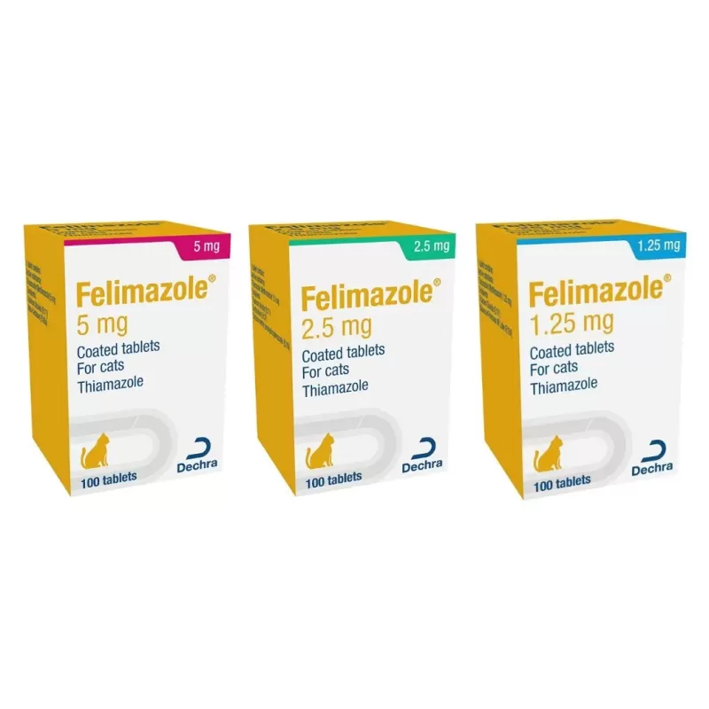 FormMain