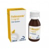 FormMain