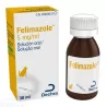 FormMain