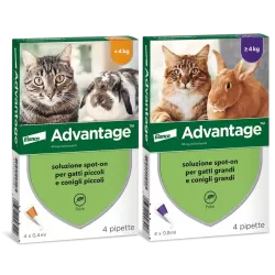 ADVANTAGE SPOT-ON 4 PIPETTE