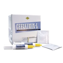 FormMain