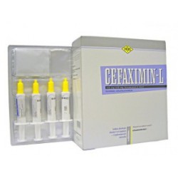 FormMain