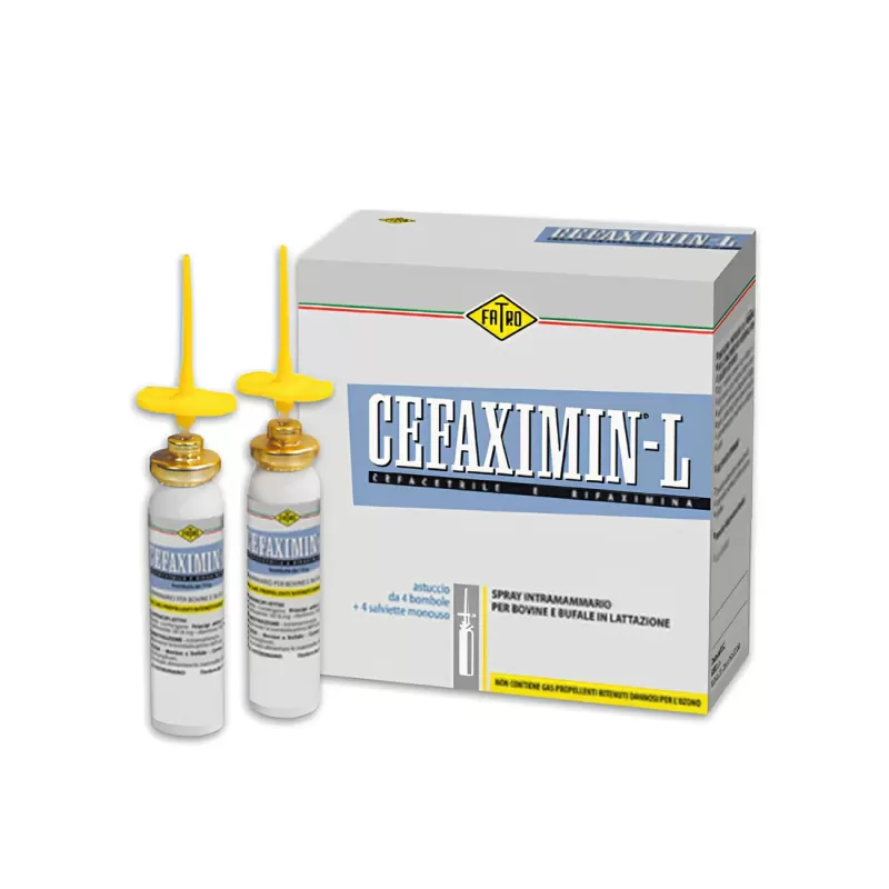FormMain