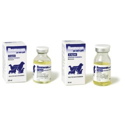 RHEUMOCAM INIETTABILE