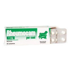 RHEUMOCAM COMPRESSE