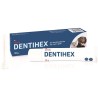DENTIHEX CON APPLICATORE - 20 GR.