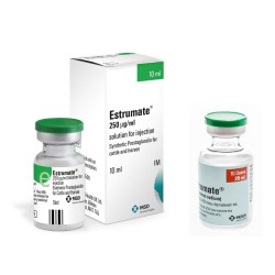 FormMain