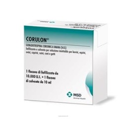 FormMain