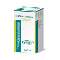 FormMain