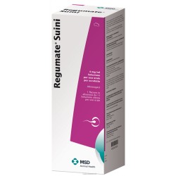 FormMain