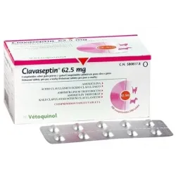CLAVASEPTIN COMPRESSE