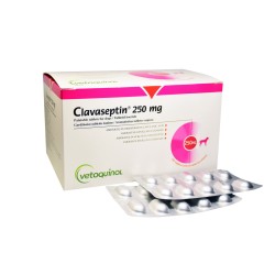 CLAVASEPTIN COMPRESSE