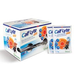 CALFLYTE - 24 BUSTINE DA 90...