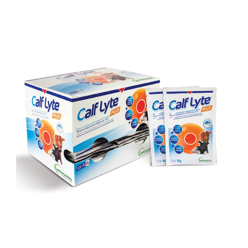 CALFLYTE - 24 BUSTINE DA 90 GR.