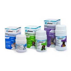 ZYLKENE PLUS COMPRESSE