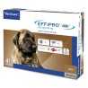 EFFIPRO DUO CANE E GATTO SPOT ON