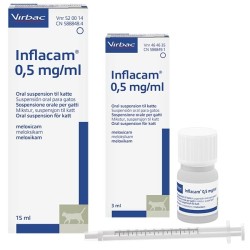 FormMain