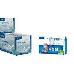 EFFIPRO SPOT-ON GATTO