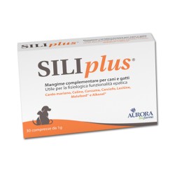 SILIPLUS - 30 COMPRESSE