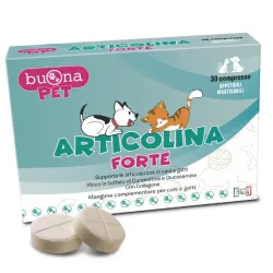 ARTICOLINA FORTE COMPRESSE