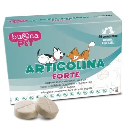 ARTICOLINA FORTE COMPRESSE