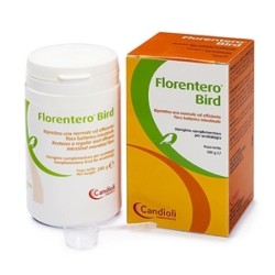 FLORENTERO BIRD