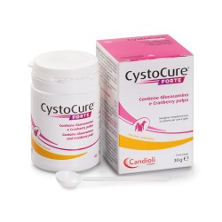 CYSTOCURE FORTE POLVERE -...
