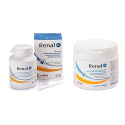 RENAL N
