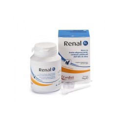 RENAL N