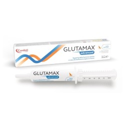 GLUTAMAX ADVANCE SIRINGA -...