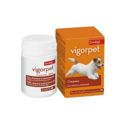VIGORPET CANI - 20 COMPRESSE