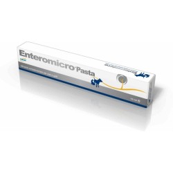 ENTEROMICRO PASTA - 15 ML.
