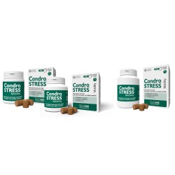 CONDROSTRESS MOBILITY CHEWS