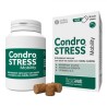 CONDROSTRESS MOBILITY CHEWS