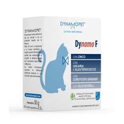 DYNAMO F - 20 BUSTINE DA...