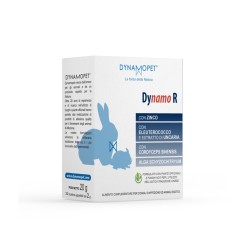 DYNAMO R - 20 BUSTINE DA 2 GR.