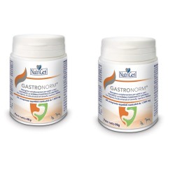 GASTRONORM - 32 CAPSULE
