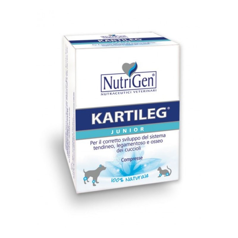 KARTILEG JUNIOR - 60 TAVOLETTE