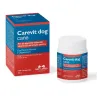 CAREVIT DOG - 100 COMPRESSE