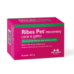 RIBES PET RECOVERY - 60 PERLE