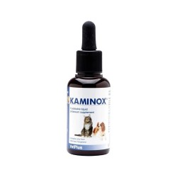 KAMINOX SCIROPPO - 60 ML.