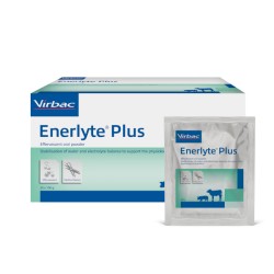 ENERLYTE PLUS - 24 BUSTE
