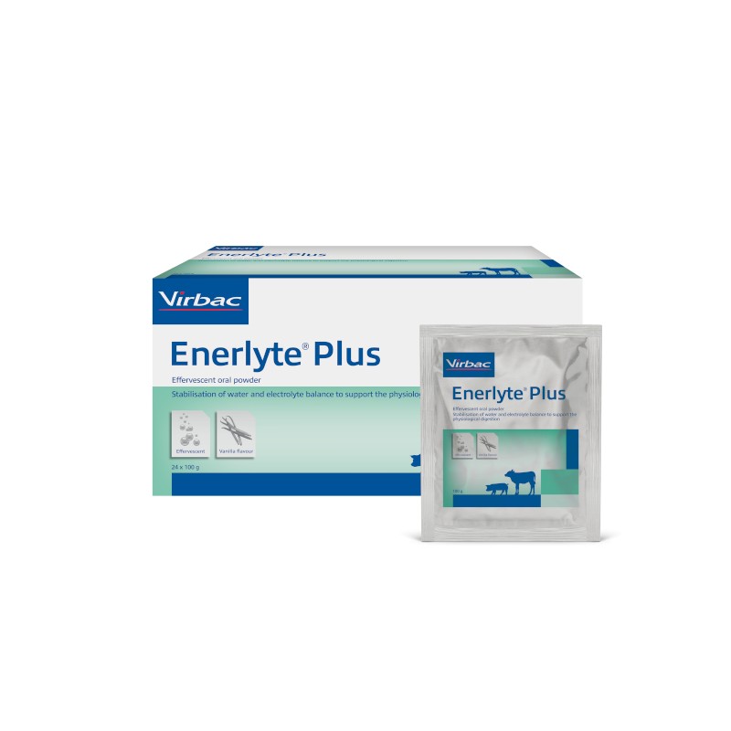 ENERLYTE PLUS - 24 BUSTE