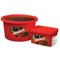 FormMain
