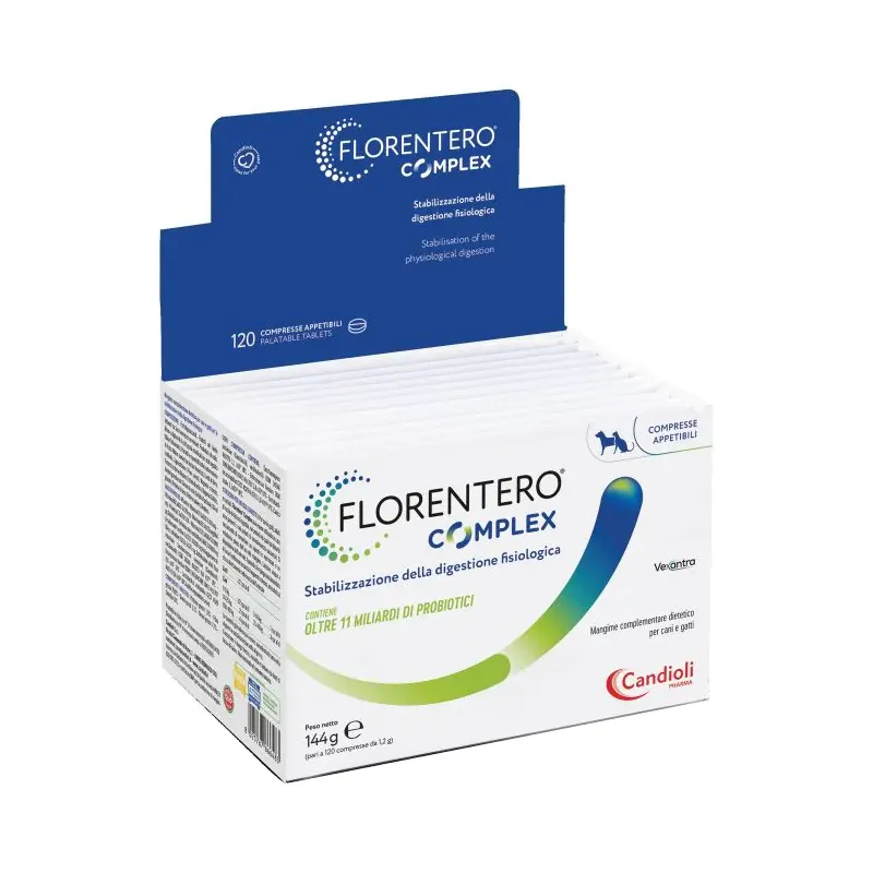 FormMain